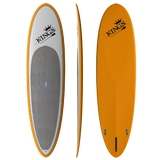 SS Model